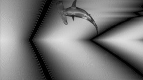 Fantastic glitch screensaver. Animated black and white shark screensaver.