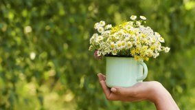 Closeup view 4k video of one female hand holding blue metal mug full of simple meadow flowers isolated on green natural blurry bokeh background