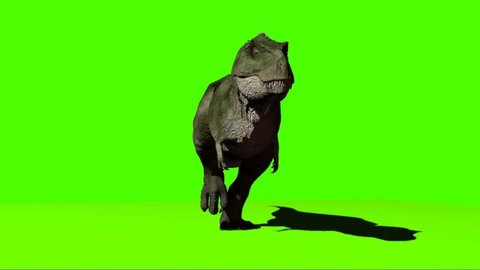 Giganotosaurus Dinosaur Running on Green Screen