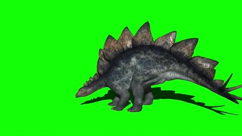 Stegosaurus Dinosaur Attacking on Green Screen