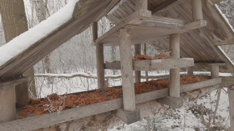 Wooden feeder for birds in winter forest. concept of human help wild birds and animals in winter.