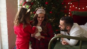 Happy young family with kids wearing pyjamas petting a pet rabbit near christmas tree on xmas holidays