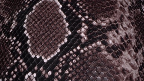 The texture of snakeskin. Brown animal leather pattern extra close up. Exotic skins clothing industry. Leather crafting