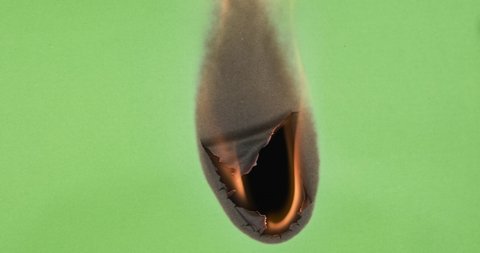 Burning green paper on a black background. The hole in the center starts burning. The sheet of paper burns out completely.