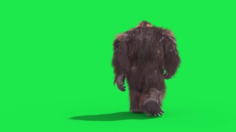 Green Screen Bigfoot Yeti Walk Back Real Fur 3D Rendering Animation 4K