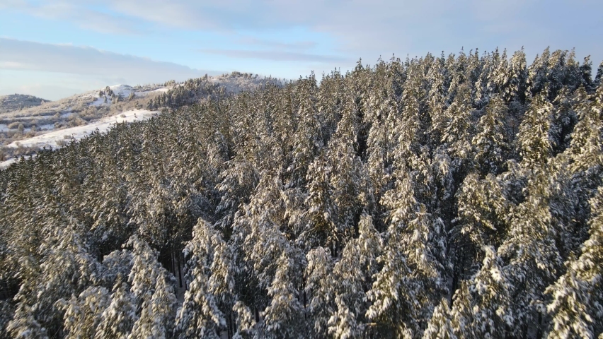 Winter landscape over mountain and beautiful snowy pine trees, blue sky and soft clouds.  Scenic aerial view with drone in 4k | Shutterstock HD Video #1065746605