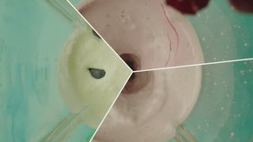 Many pieces of berries falling into the milk inside the blender.  Blueberries and strawberries  splashing on milk inside mixer in slow motion. Few kind of videos in one footage . 