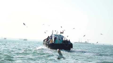 Seagulls flying above the boat on the way to Bet dwarka island from Okha Port at Arabian sea in Okha, Gujarat, India Stockvideo