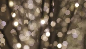Christmas bokeh background lights sparkle christmas, bokeh, background, abstract, light, glitter, holiday, lights, gold, blurred, xmas, new, year, bright, shiny, defocused, stock, footage, video, clip