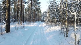 4k video of a flight through a winterforest over a snow-covered road along the edges of which there are pine trees in snow caps and the sunis shining