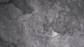 Dried Coriander Seeds Falling into Kitchen Mortar Slow Motion - Powered by Shutterstock - Get 15% off with code: PIKWIZARD15