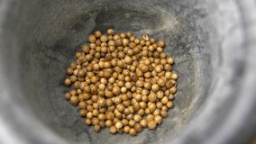 Dried Coriander Seeds Crushed and Grinded in Kitchen Mortar and Pestle - Powered by Shutterstock - Get 15% off with code: PIKWIZARD15