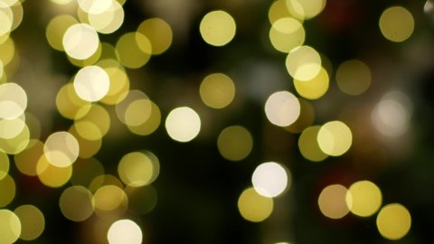 Multicolored Christmas Lights Garland On Tree Stock Footage Video (100% ...