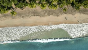 Beach top view with blue ocean waves breaking on sandy shore with green coconut palm trees, beautiful Caribbean vacation holiday travel destination, 4k video footage from drone