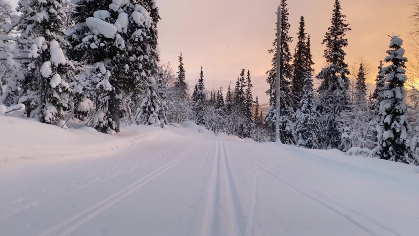 Downhill cross-country skiing along a picturesque forest trail. cross-country ski track close-up. POV, filmed from a low angel. | Shutterstock HD Video #1065813739