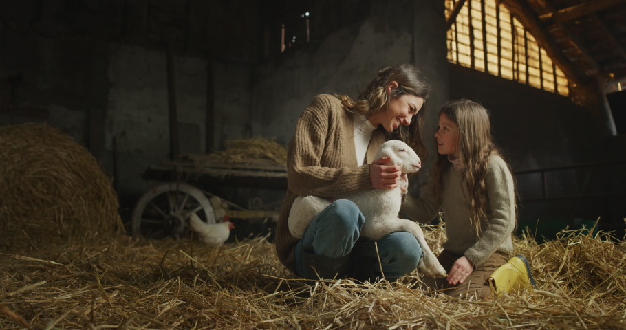 Cinematic shot of happy mother and little daughter caressing with love and care ecologically grown newborn lamb used for biological genuine wool industry in hay barn of countryside agricultural farm. 