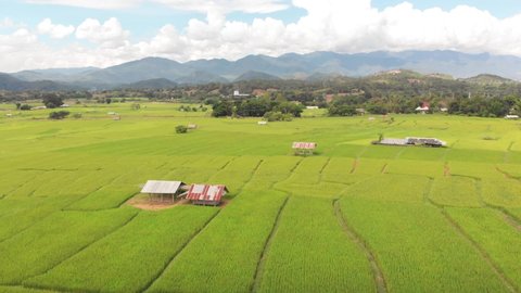 Aerial drone footage of lush, green rice paddies in Pai, Thailand. Small huts are scattered throughout the paddies, and a large mountain range is in the background.