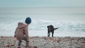 Pet games and dog training. A boy plays with a dog on the beach, throwing it a stick. Rear view. Slow motion.