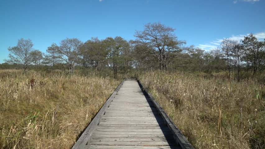 A straight road that crosses the Kushiro Marsh.
