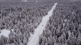 Aerial View of the snowed tree and car riding inside it