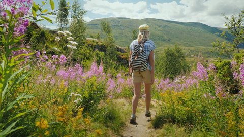 An active woman walks through a beautiful valley among flowering flowers against the backdrop of mountains and sky. Spring in Norway, a trip to Scandinavia