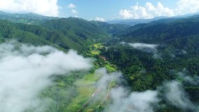 Aerial view drone flying over fog with Nature in morning Agriculture and farmer Rice fields Top Down in Nan Province Thailand Beautiful nature for video background