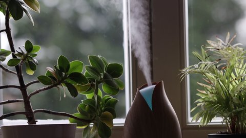 Wooden Aroma Diffuser with Changing Colors for Air Humidification. Diffuser for Wellbeing in front of Window next to Home Green Plants.