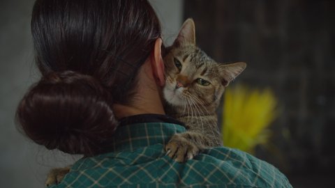 Portrait of cute gray shorthair cat rubbing against female owner's face with head and cheek, showing bunting behaviour, friendly greetings, affection and scent marking while embracing owners shoulders