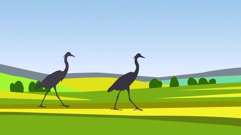 Landscape with grey herons walking in the fields (animation, seamless loop)