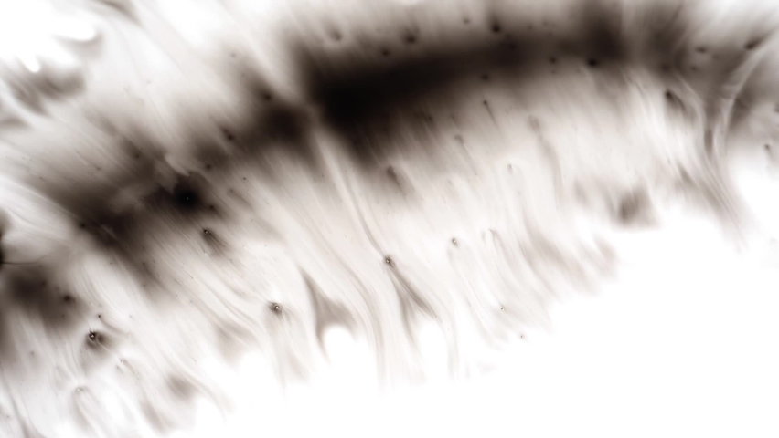 Clip of different patterns over white screen | Shutterstock HD Video #1065953155