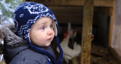 Locked down shot of an adorable child fully packed in winter clothing, standing near a hen coop, with two hens moving around in the wooden coop. 