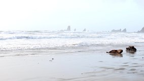 4k video from Oregon beach.  The camera moves along with the incoming waves, which creates a harmonious smooth movement and a feeling of closeness to the ocean.