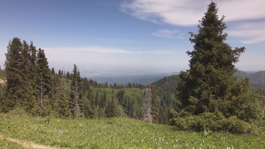 At the top of the mountain ridge. At the distance the city covered by smoke. The bright sunny day in summer