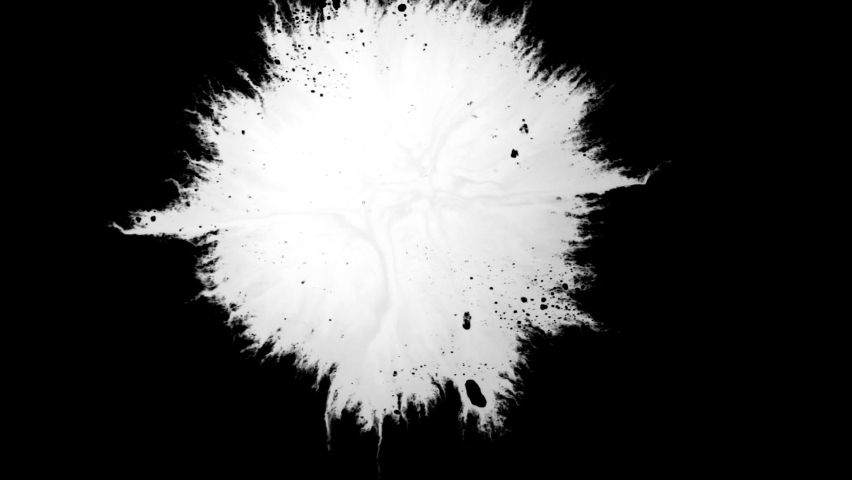 ink splash video effect isolated on black background