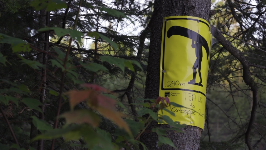 Canoe Portage Sign On A Tree In Algonquin Provincial Park, Canoeing Backcountry