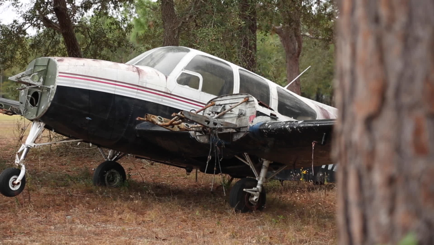 Small Abandoned Plane In Forest