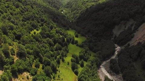 Aerial panoramic view of pine forests and nature in north georgia caucasus mountains. Travel in Svaneti