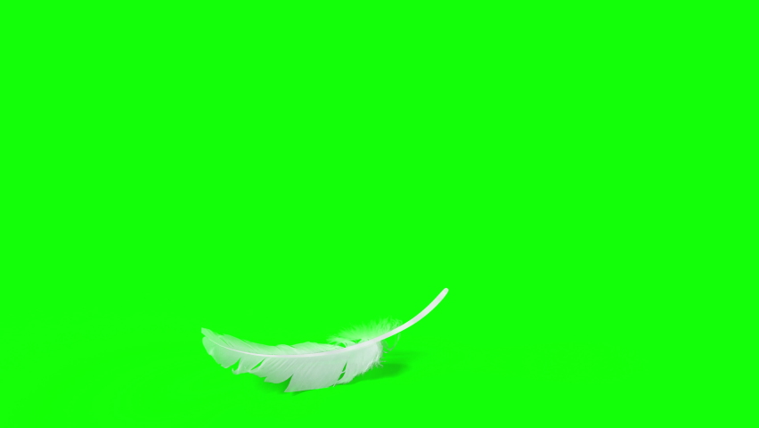Falling Feather element with Chroma Key and Alpha Channel mask in 4K slow motion