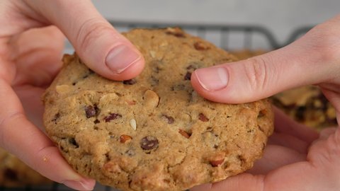Close-up of beautiful female hands breaking a chocolate chip cookie in the background lies a cookie on the lattice. 4K. The concept of making chocolate chip cookies step by step.