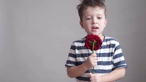 Cute little caucasian sad serious boy with red rose. valentine day. 