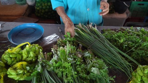 Close up of unrecognizable elderly saleswoman hands arranging fresh green spices and on blue market counter inside market in the Amazon. Concept of food, gastronomy, business, sale, age, healthy food.