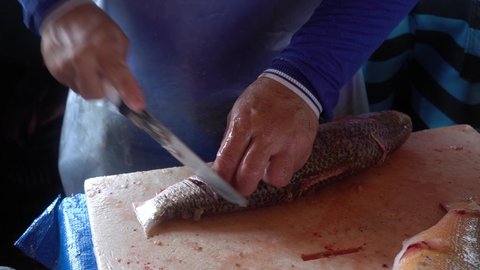Close up of man fishmonger hands slicing fresh fish with sharp knife very fast on the cutting board at a market in the Amazon. Concept of chef, gastronomy, business, work, profession, healthy food. 4k