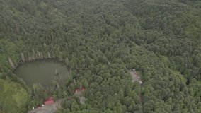 Professional Aerial Footage of a car driving through the Lush Green Forest around Lake Karagöl Artvin (Borçka Karagöl Nature Park)  - Borçka Artvin Turkey - Professional RAW Footage