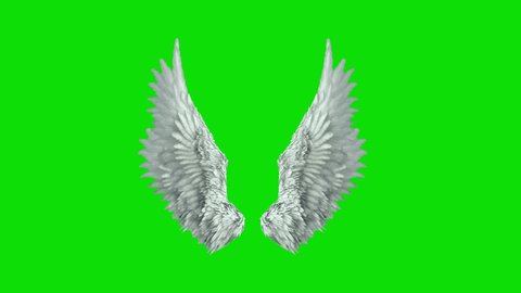  real angel wings green screen , loops, fantasy fairy wings with a green screen