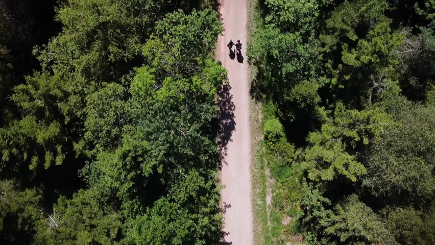 Aerial View of two People Hiking on a Trail in a Woodland Area in Baden-Wuerttemberg, Germany