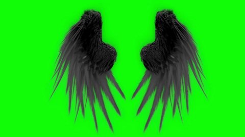 devil wings green screen ,dark black real angel wings, oops, fantasy fairy wings with a green screen