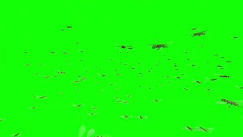 Swarm of Honey Bees Flying on Green Screen
