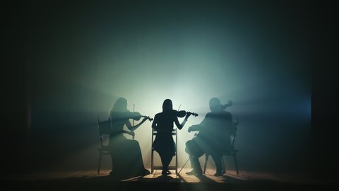 Silhouettes of Musicians. A Trio of Professional Musicians Perform Classical Works on Violin, Cello and Double Bass. The Musicians Play on Stage in a Dark Hall, in Smoke and Spotlights.