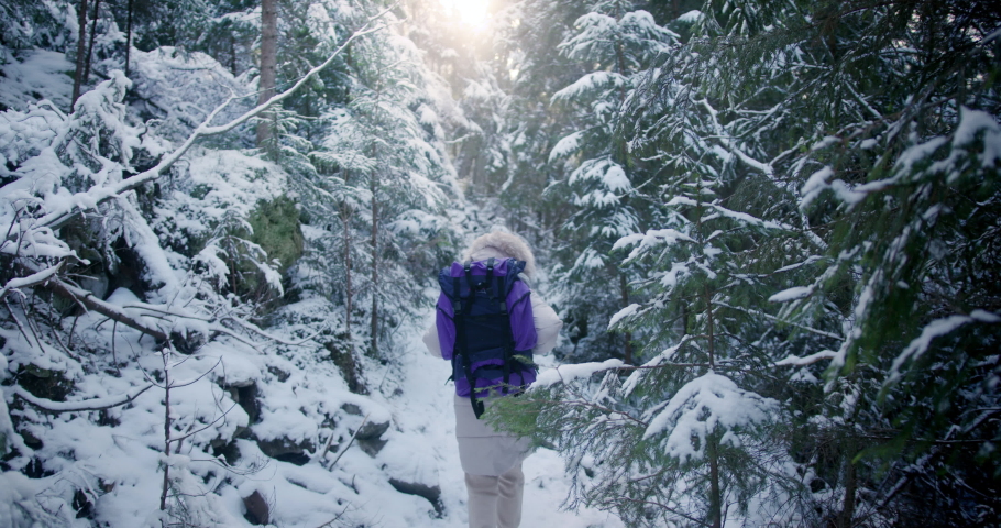 Back view of female amateur hiker with backpack walking along the rocky path in Carpathian mountains.