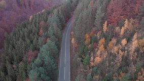 Aerial footage over the mountain road cutting through the colored autumn forest	
